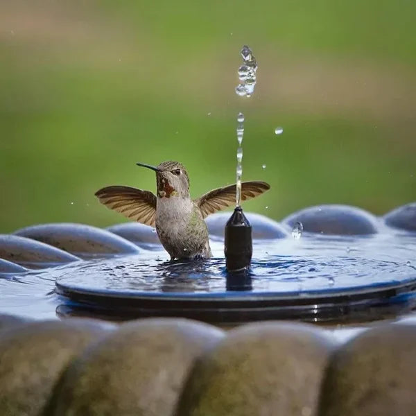 Solar Powered Bird Bath