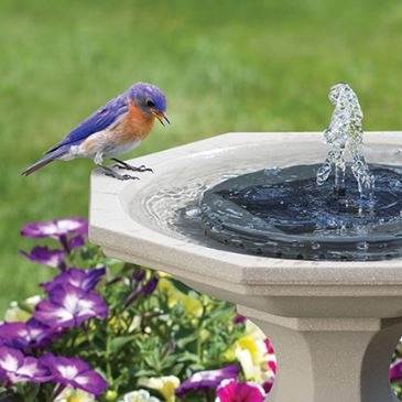 Solar Powered Bird Bath